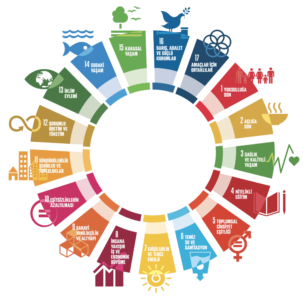 BM Sürdürülebilir Kalkınma Amaçları Çarkı