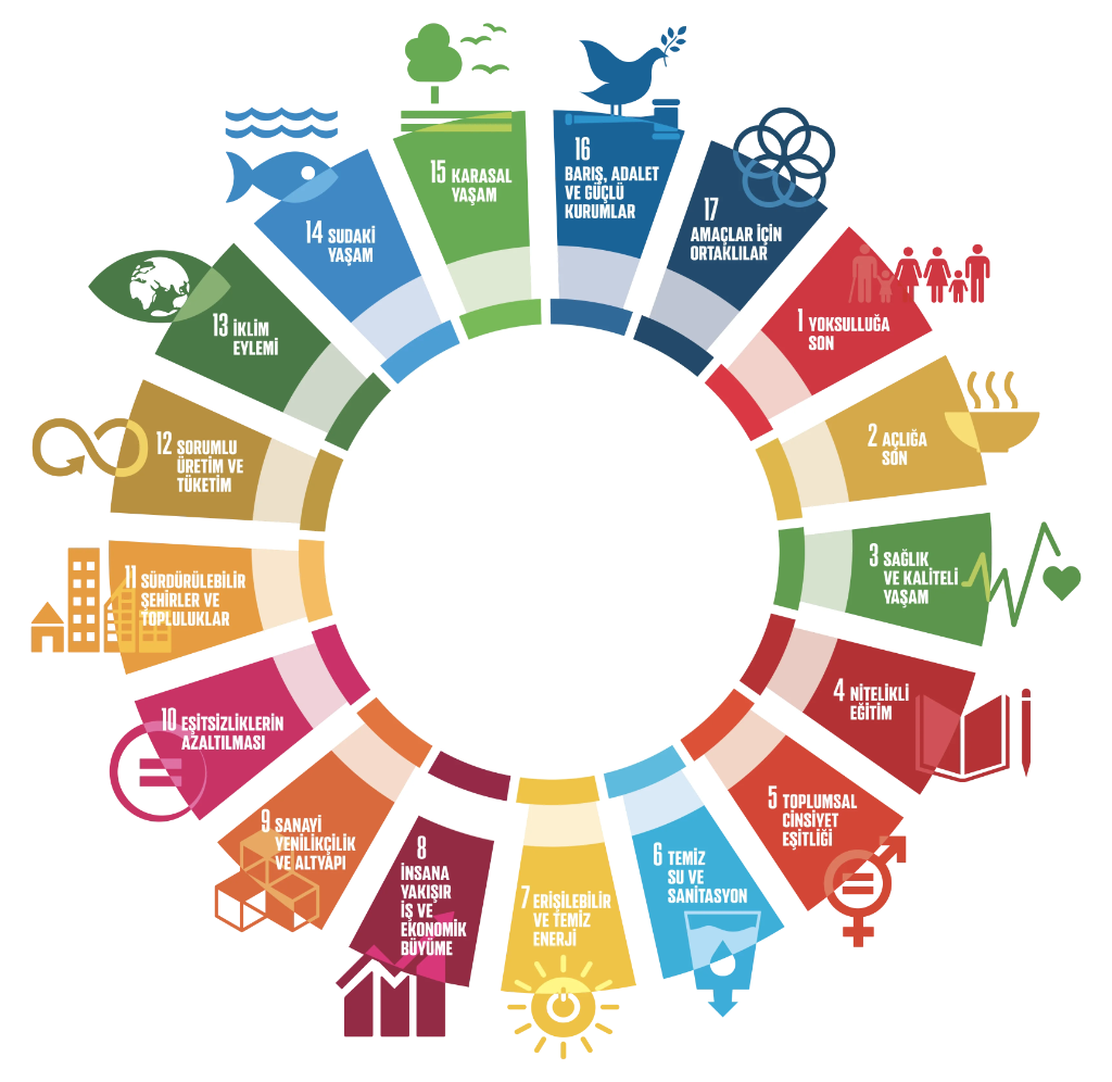 BM Sürdürülebilir Kalkınma Amaçları Çarkı
